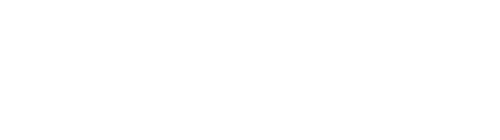 THE FRANCHELLE FIRM